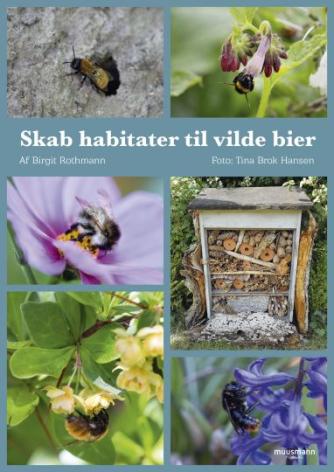 Birgit Rothmann: Skab habitater til vilde bier