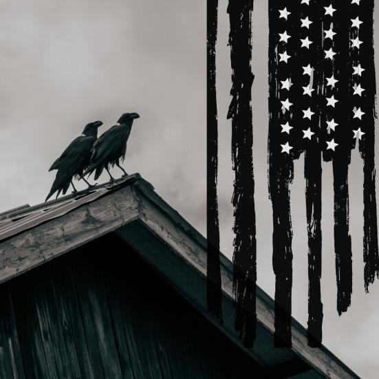 Krager på taget og amerikansk flag